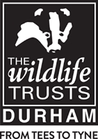 Durham Wildlife Trust